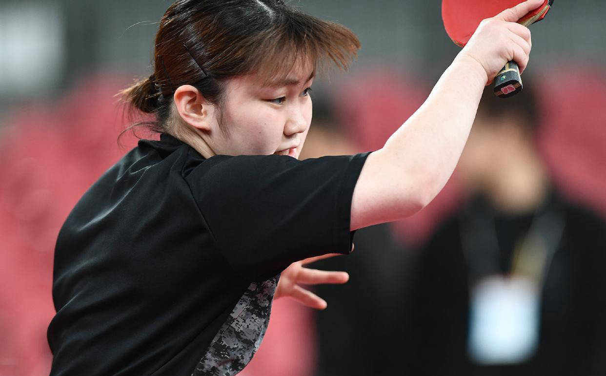 的成绩单 的成绩单